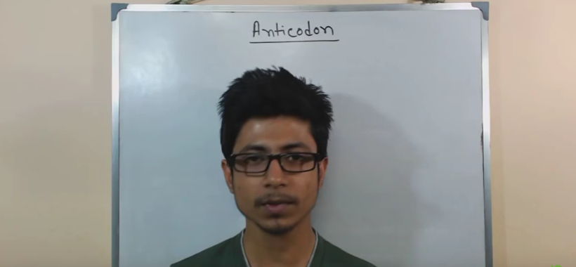 Difference Between Codon and Anticodon
