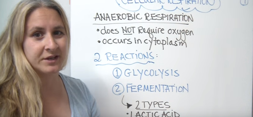 Difference Between Fermentation and Anaerobic Respiration